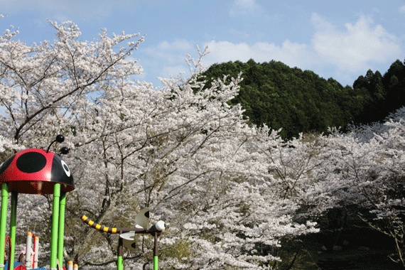 f:id:funifuni194:20200408200249j:plain