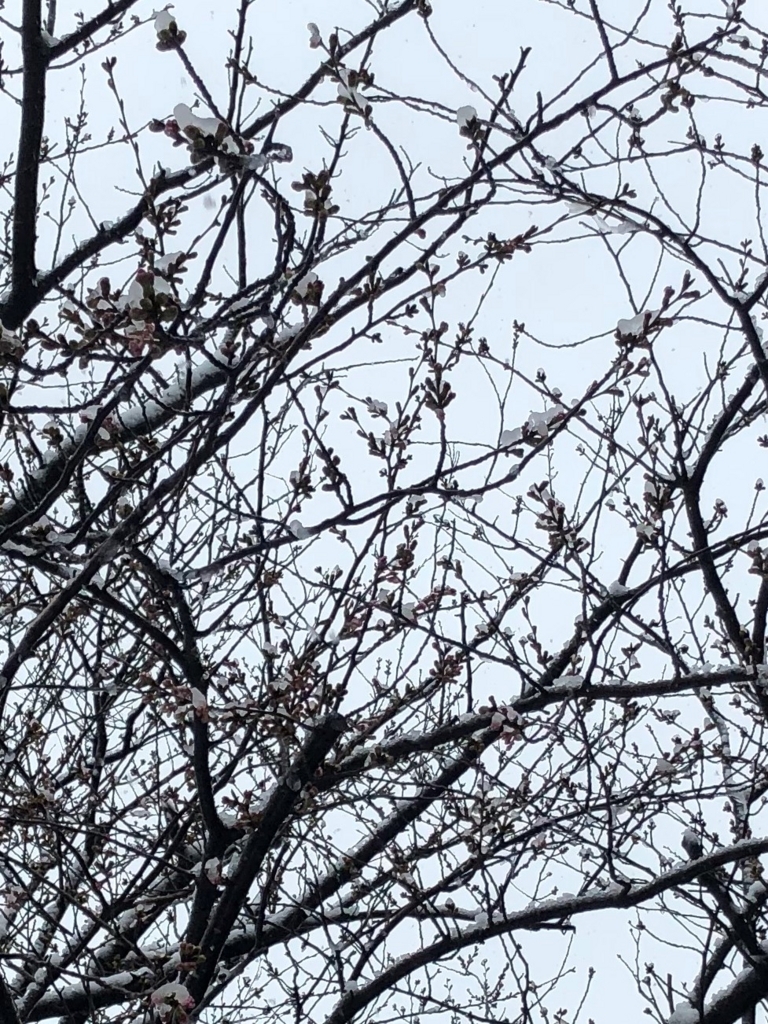 f:id:funkenstein:20180321132136j:plain:w350