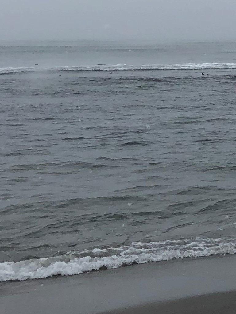 f:id:funkenstein:20180321133409j:plain:w350