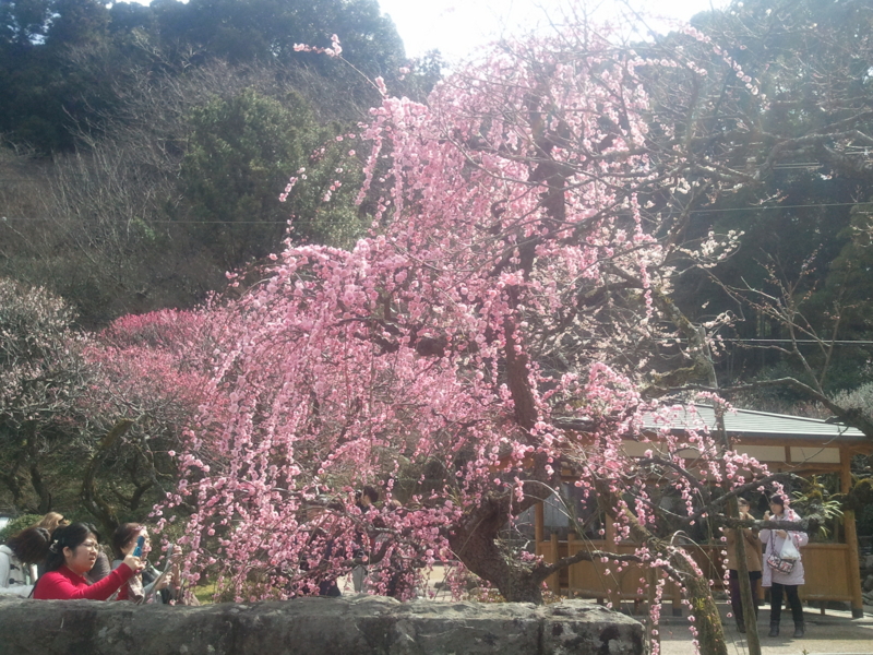 f:id:funkeydaddy:20130303122409j:image:w360 f:id:funkeydaddy:20130303122409j:image:w360