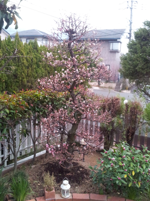 f:id:funkeydaddy:20140226071320j:image f:id:funkeydaddy:20140226071320j:image