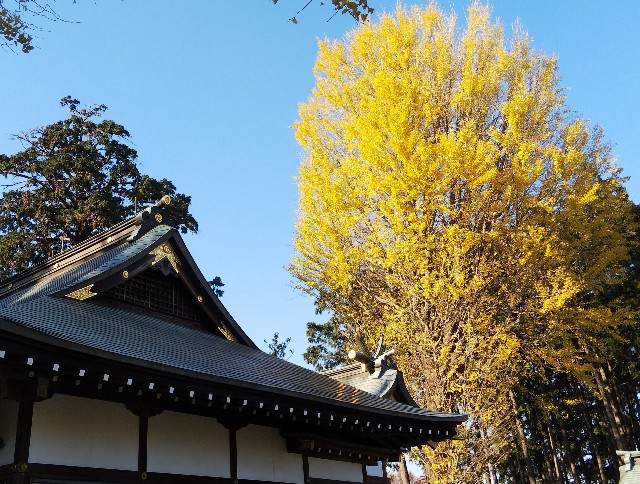 f:id:funkyjijii:20191215095916j:image
