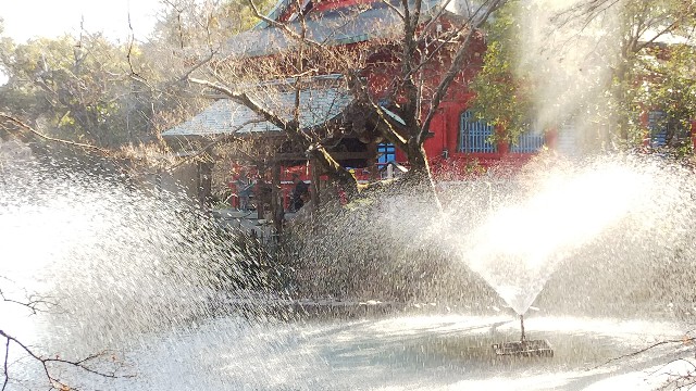 f:id:funkyjijii:20200101122637j:image