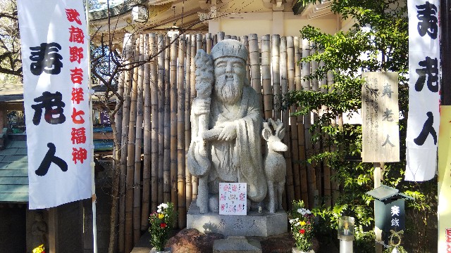 f:id:funkyjijii:20200101123628j:image