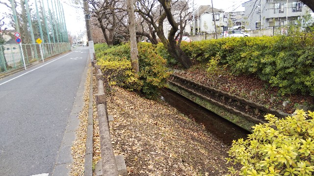 f:id:funkyjijii:20200104150839j:image