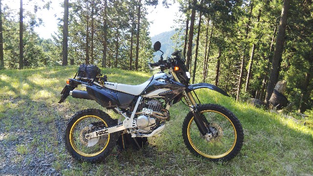 XR250モタード 高年式[64右シュラウド]検XR400モタード｝A