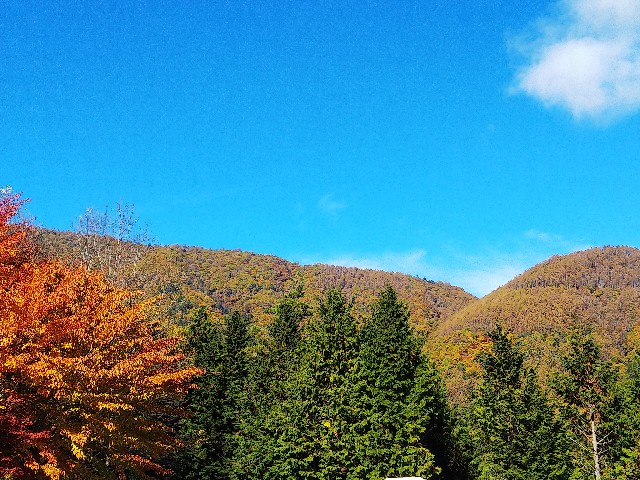 f:id:funkyjijii:20211030141322j:image