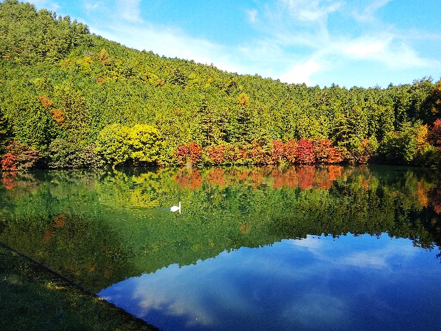 f:id:funkyjijii:20211030141615j:image