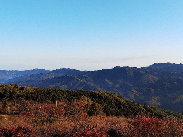 f:id:funkyjijii:20211106171027j:image