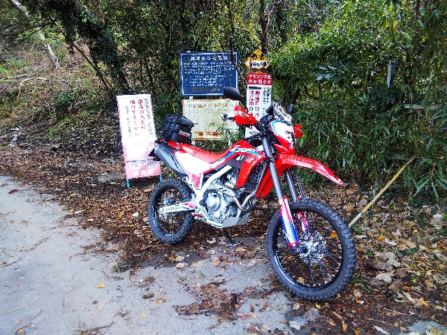 f:id:funkyjijii:20211204135456j:image f:id:funkyjijii:20211204135456j:image