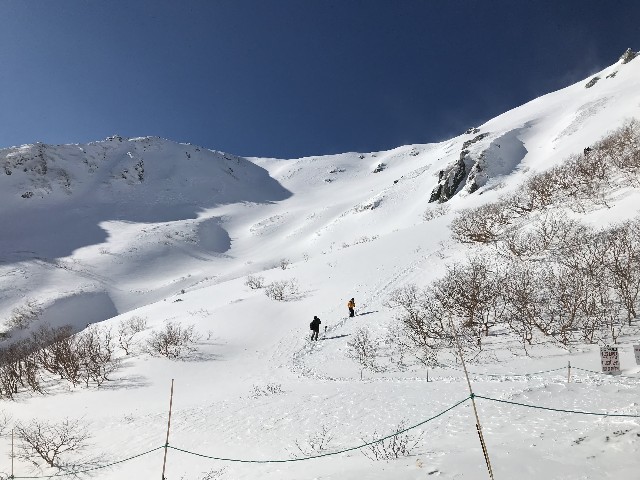 f:id:funkyjijii:20211224173832j:image