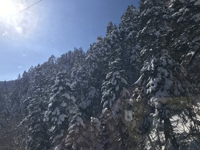 f:id:funkyjijii:20211224174314j:image