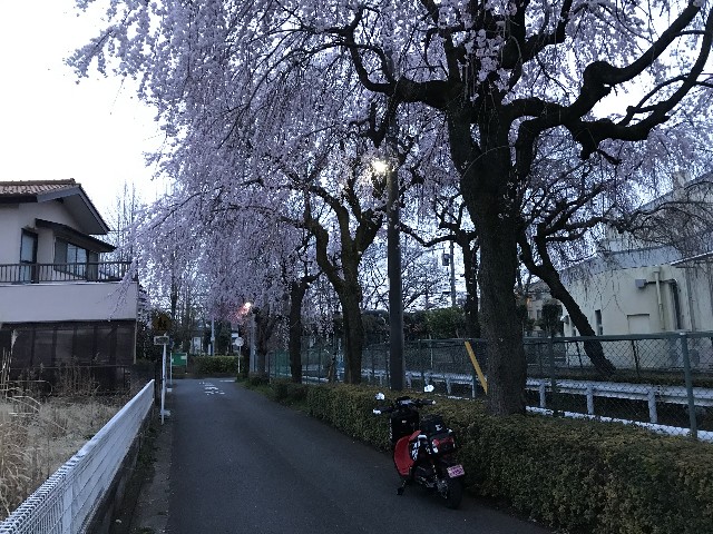 f:id:funkyjijii:20220326093049j:image