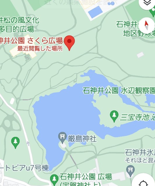 f:id:funkyjijii:20220326095928j:image