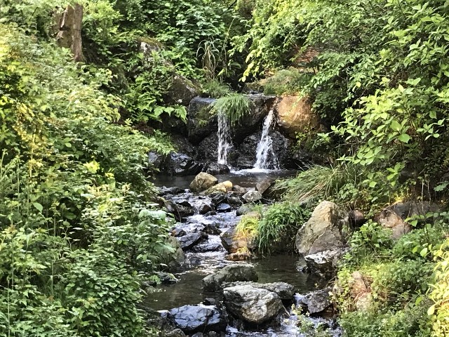 f:id:funkyjijii:20220503113154j:image