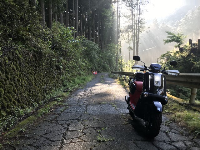 f:id:funkyjijii:20220503113216j:image