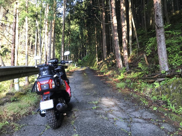 f:id:funkyjijii:20220503113252j:image