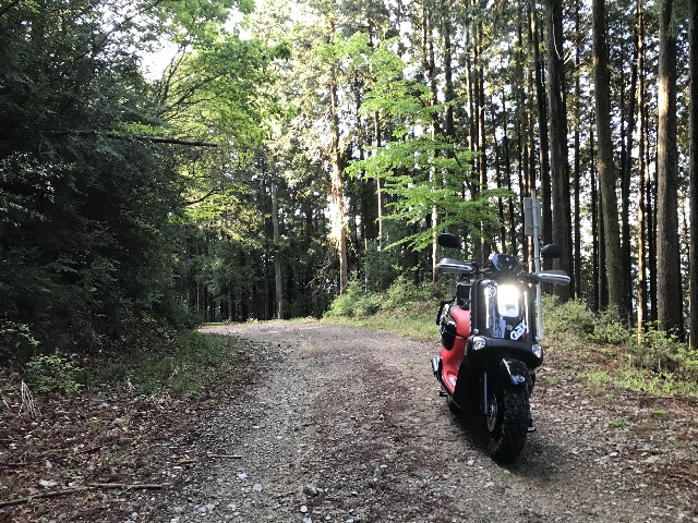 f:id:funkyjijii:20220503113456j:image