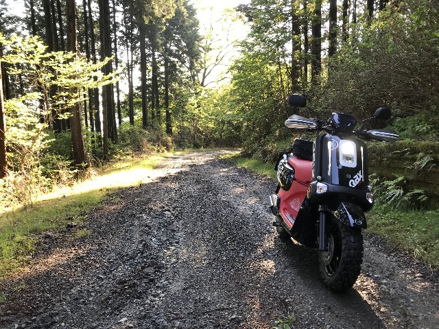 f:id:funkyjijii:20220503113511j:image