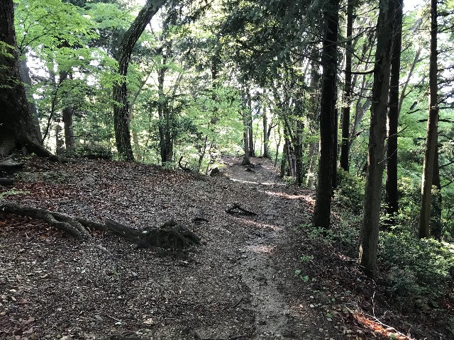 f:id:funkyjijii:20220503113755j:image