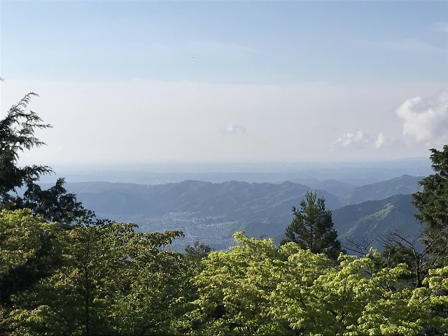 f:id:funkyjijii:20220503113809j:image