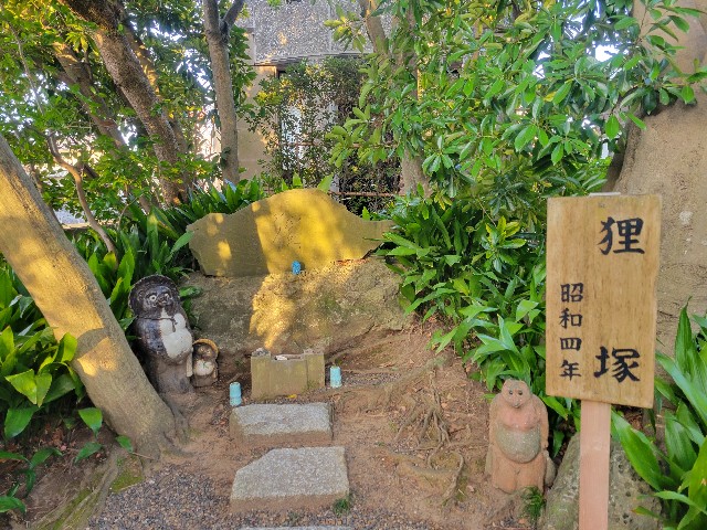 f:id:funkyjijii:20230304120314j:image