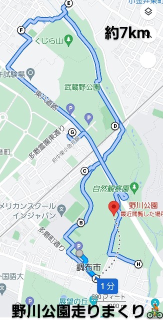 f:id:funkyjijii:20230715090308j:image f:id:funkyjijii:20230715090308j:image