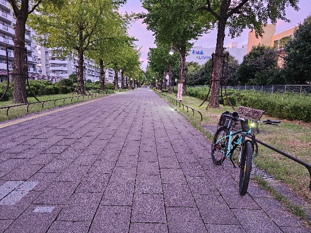 f:id:funkyjijii:20230911061124j:image f:id:funkyjijii:20230911061124j:image