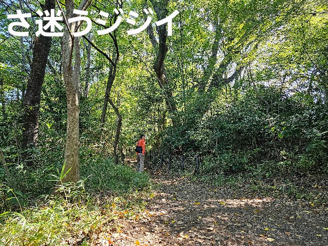 f:id:funkyjijii:20231026132603j:image