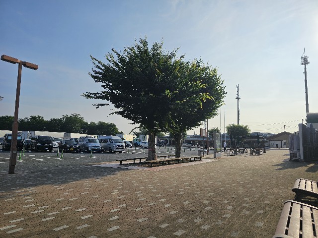 f:id:funkyjijii:20240612062936j:image
