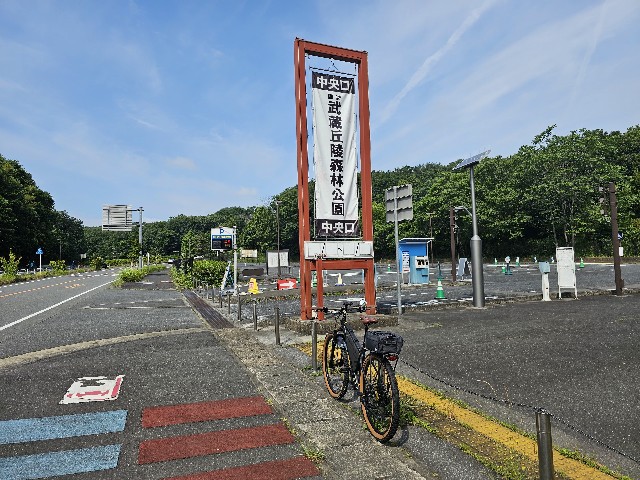 f:id:funkyjijii:20240612084806j:image
