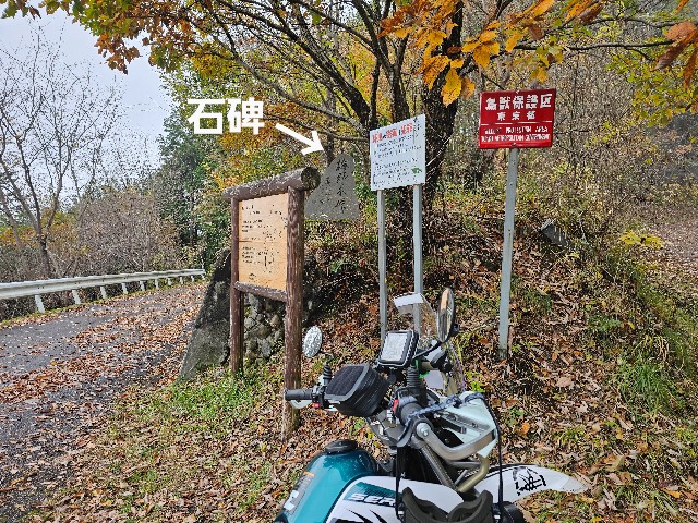 f:id:funkyjijii:20241127151009j:image