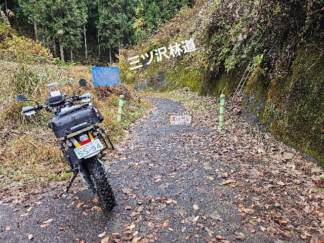 f:id:funkyjijii:20241127152658j:image