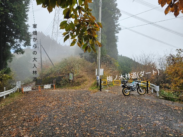 f:id:funkyjijii:20241128060109j:image