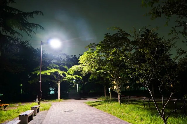 f:id:funkyjijii:20241231055906j:image f:id:funkyjijii:20241231055906j:image