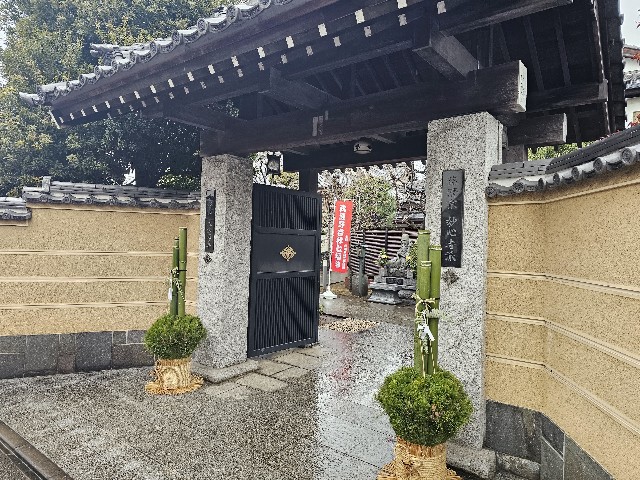 f:id:funkyjijii:20250107103820j:image