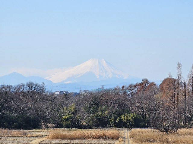 f:id:funkyjijii:20250122132044j:image