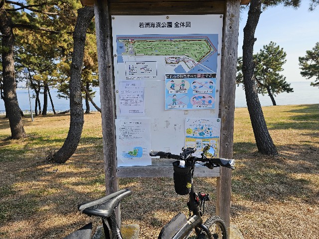 f:id:funkyjijii:20250124142441j:image
