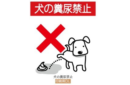 f:id:funkyjijii:20250211160146j:image
