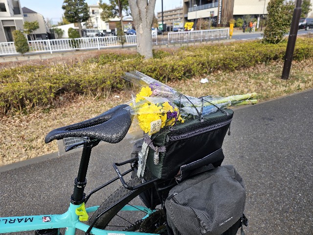 f:id:funkyjijii:20250228105450j:image