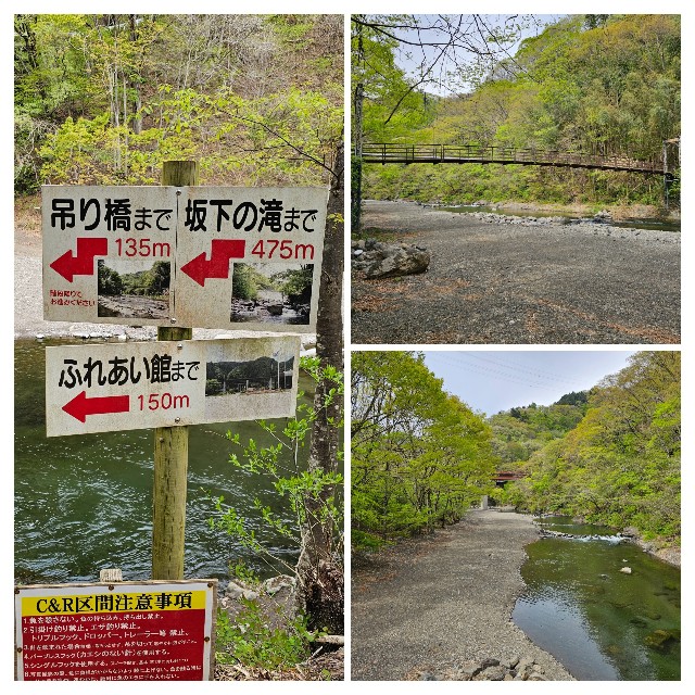 f:id:funkyjijii:20250425102334j:image