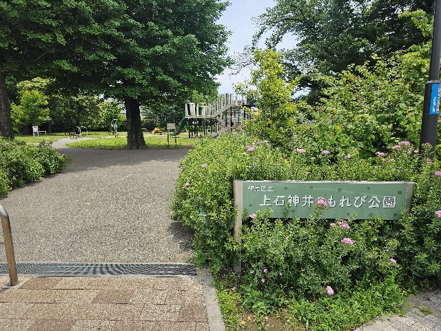 f:id:funkyjijii:20250522125337j:image