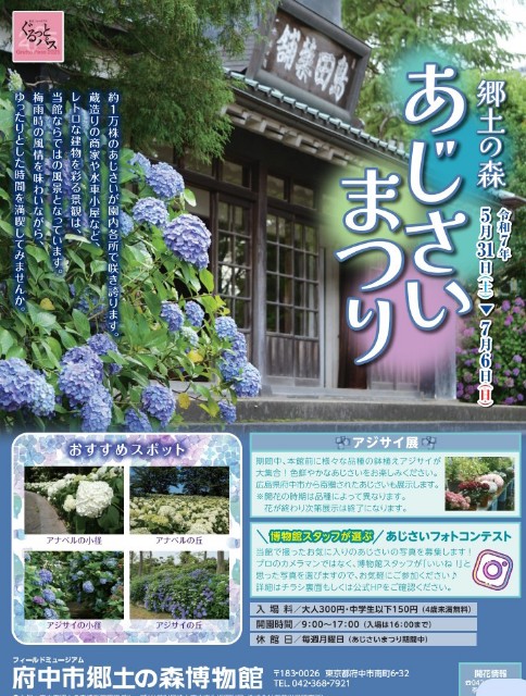 f:id:funkyjijii:20250611141814j:image