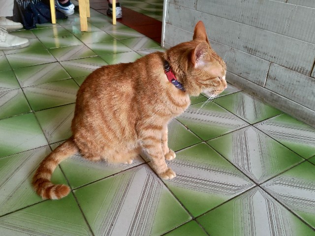 f:id:funstudy-taiwan:20191206154114j:image