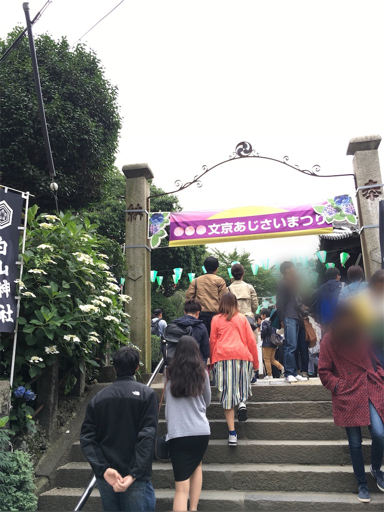 f:id:funvox2020244:20180616153129j:image