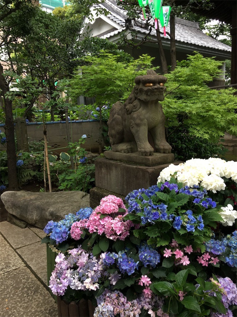 f:id:funvox2020244:20180616154552j:image