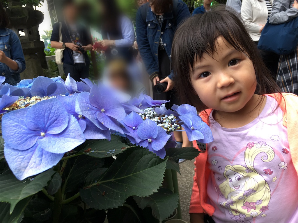 f:id:funvox2020244:20180617153632j:image