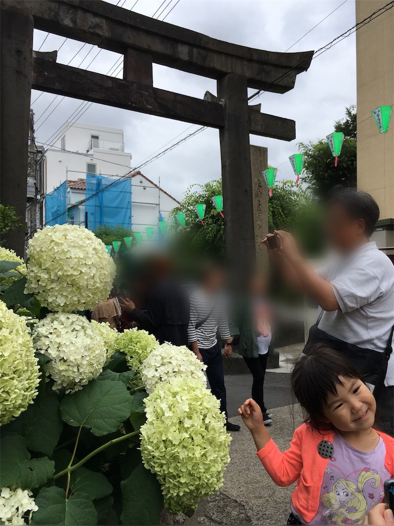 f:id:funvox2020244:20180617154423j:image
