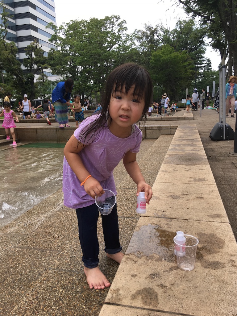f:id:funvox2020244:20180714154600j:image