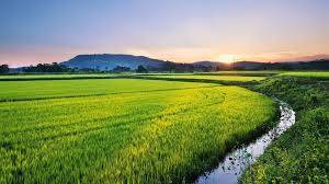 f:id:funyada:20190901095458j:plain